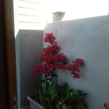 Casa Dei Fenicotteri *